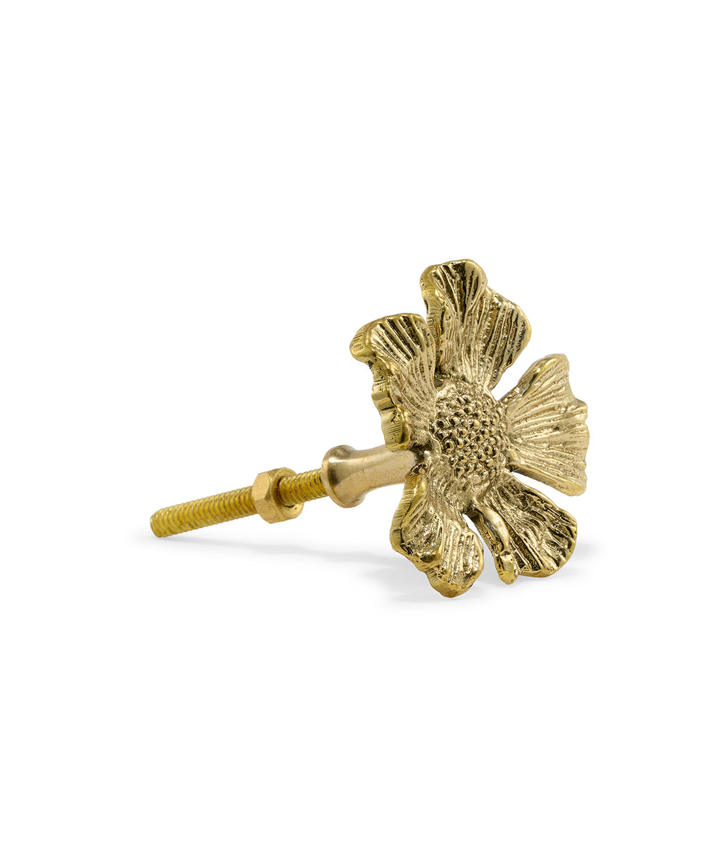 Tirador Bronce Flor Cherry Blossom