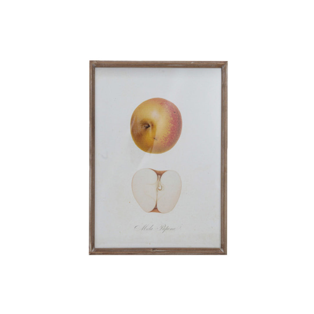 Cuadro Vintage Frutas