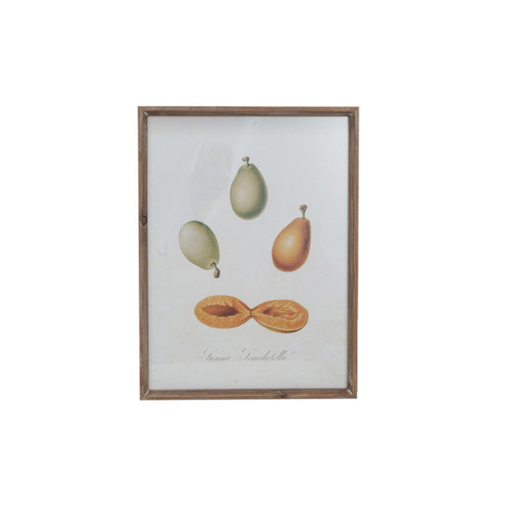 Cuadro Vintage Frutas