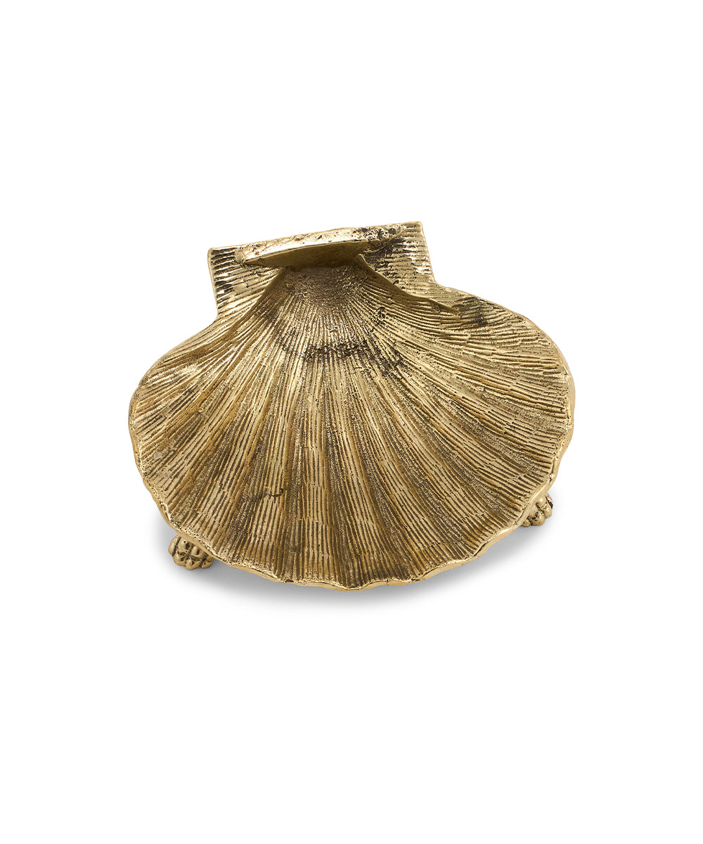 Plato de Bronce Concha