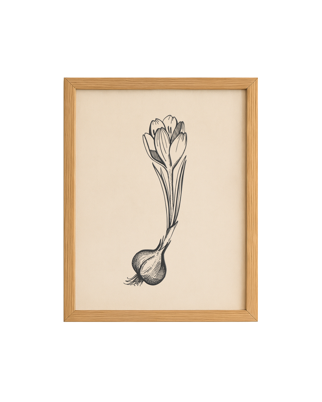 Cuadro Diseño Botánico - 35 x 25 cm