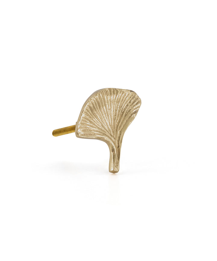 Tirador Bronce Ginko