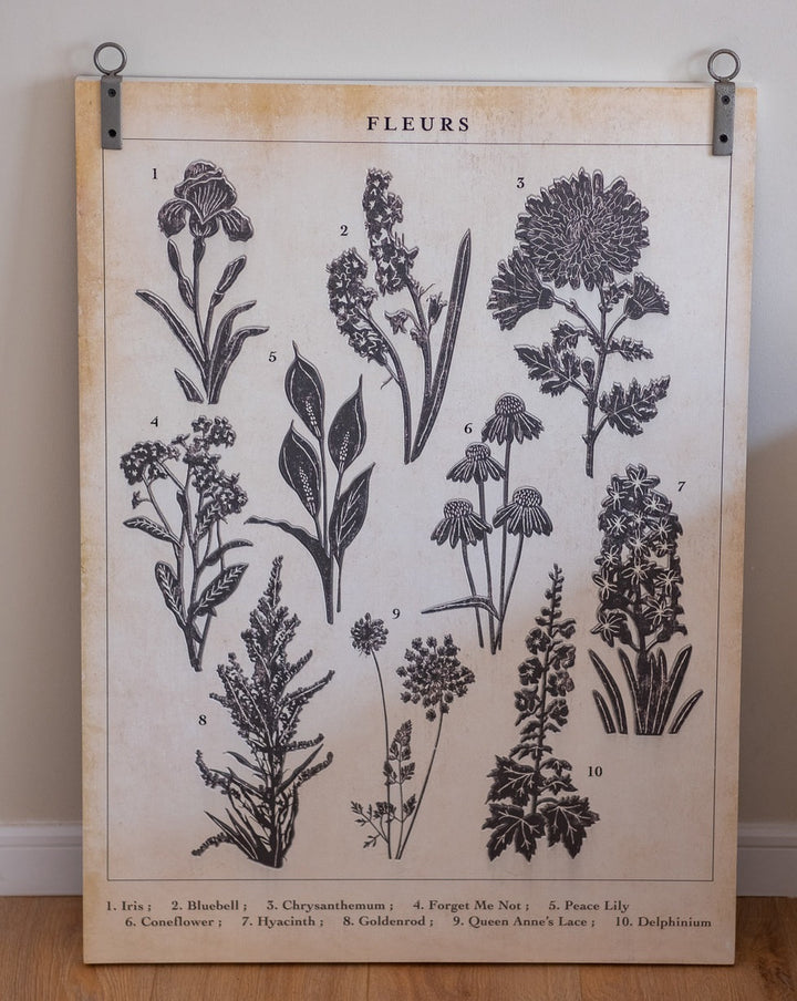 Cuadro Estampado Botánico