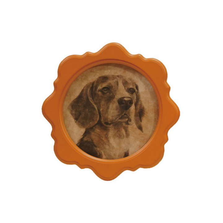 Marco Color con Ilustración Vintage Perro, 4 estilos
