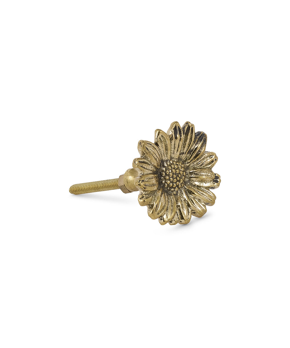 Tirador Bronce Flor Daisy