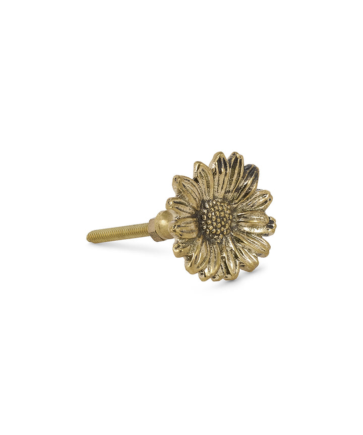 Tirador Bronce Flor Daisy