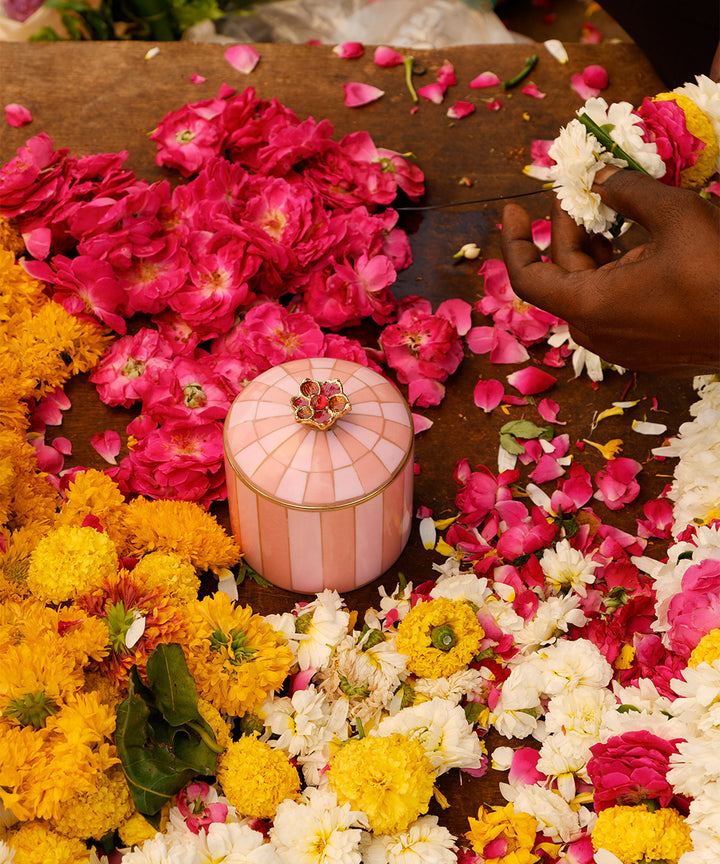 Caja Circus Cameron Pink