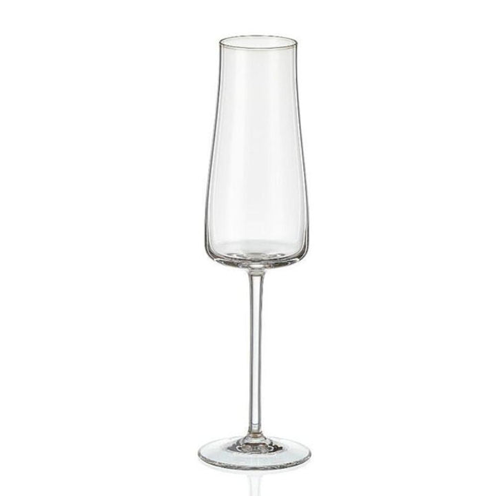 Set 6 Copas de Champagne Alex