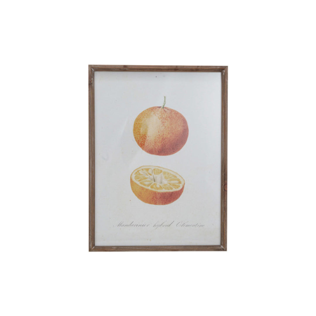 Cuadro Vintage Frutas