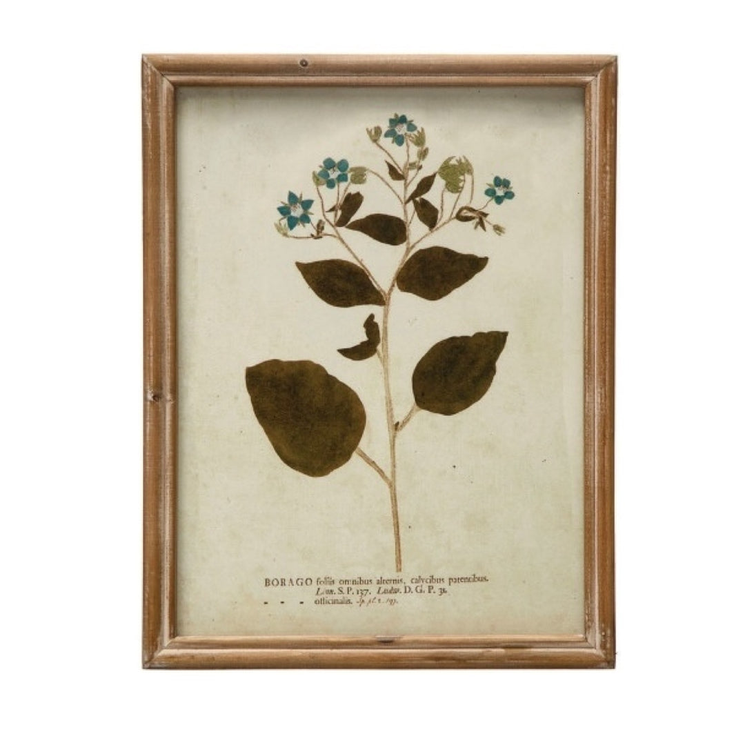 Cuadro Vintage Botánico