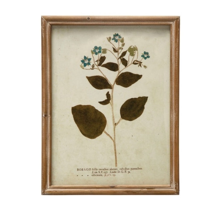 Cuadro Vintage Botánico