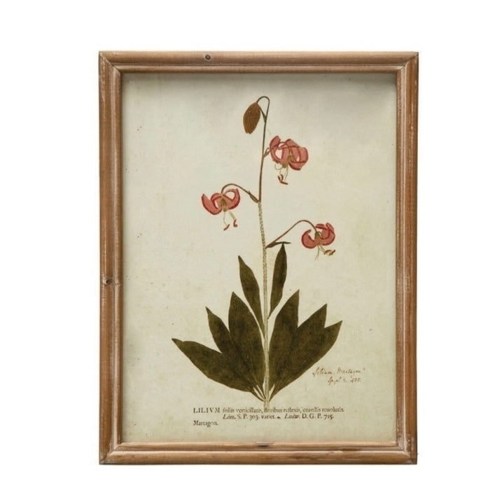 Cuadro Vintage Botánico