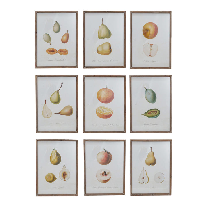 Cuadro Vintage Frutas