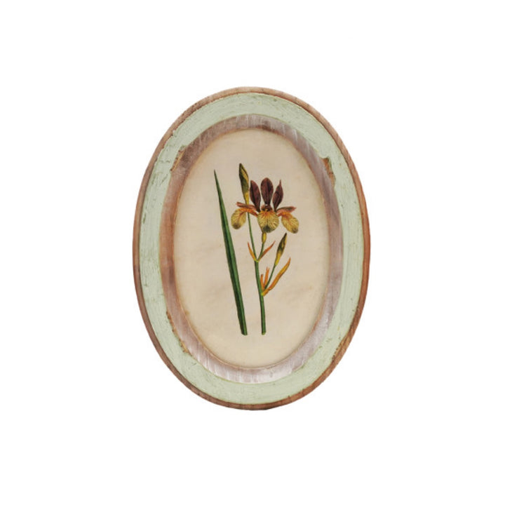 Cuadro Oval Flor