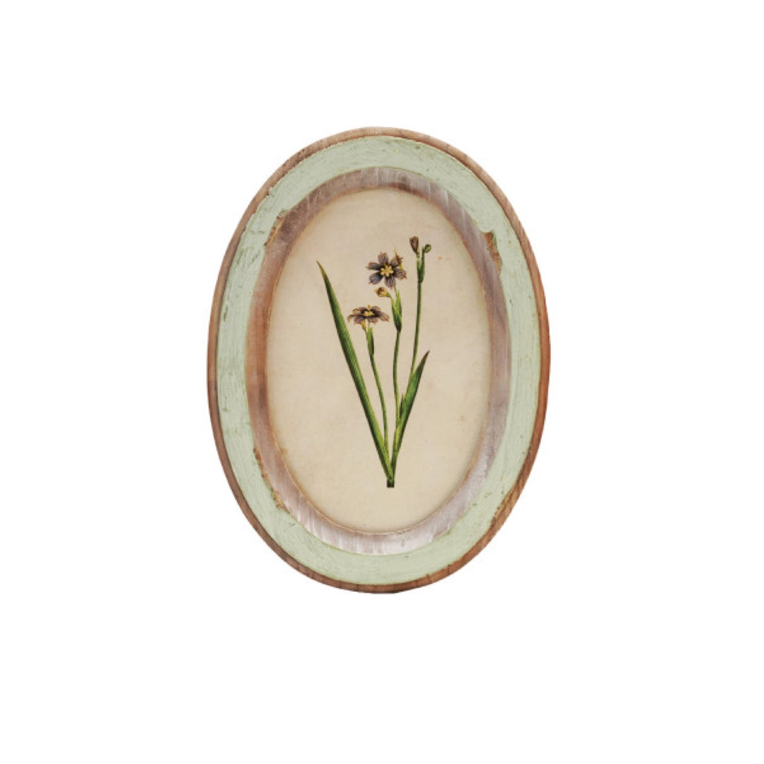 Cuadro Oval Flor