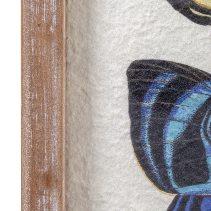 Cuadro de Mariposas Vintage