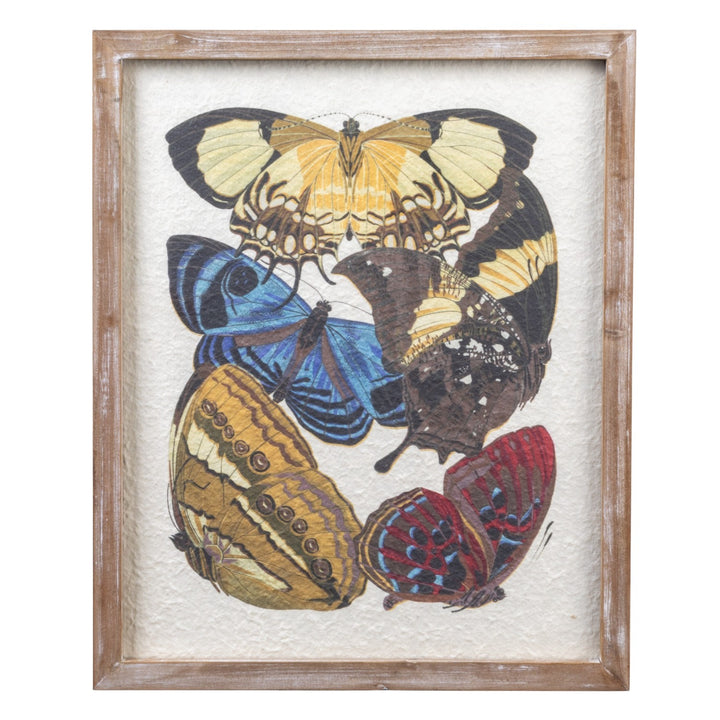 Cuadro de Mariposas Vintage