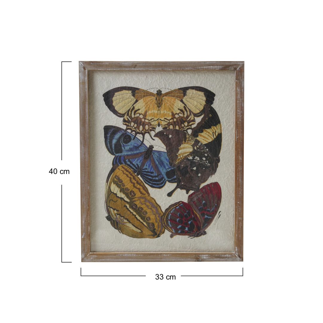 Cuadro de Mariposas Vintage