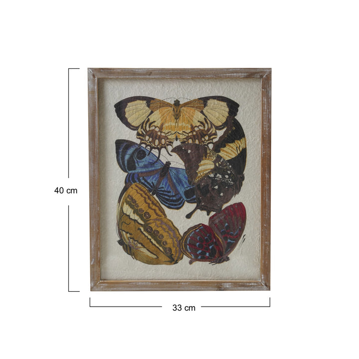 Cuadro de Mariposas Vintage