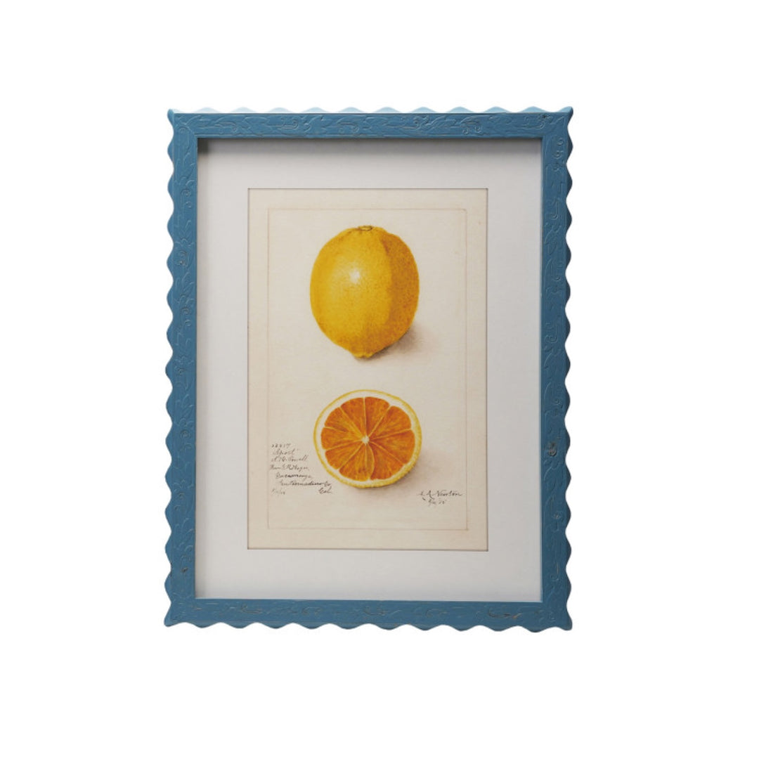 Cuadro Frutas Vintage