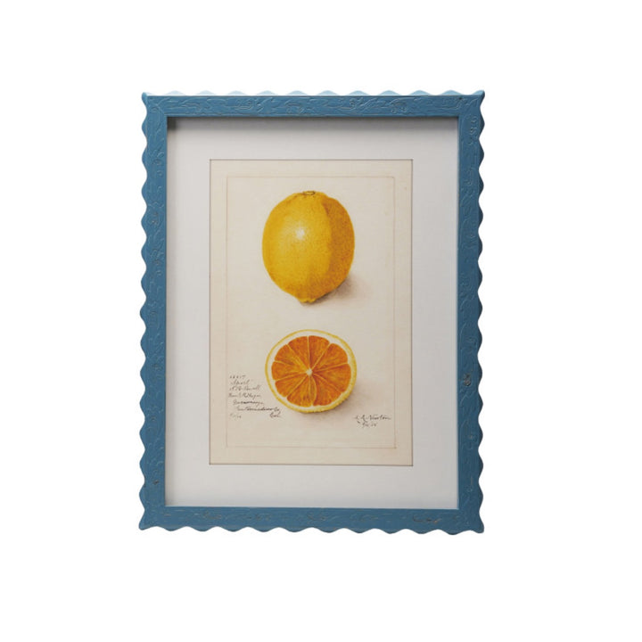 Cuadro Frutas Vintage