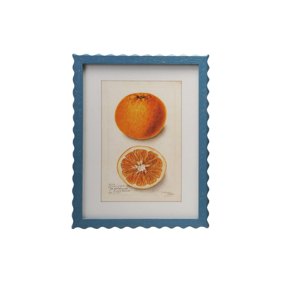 Cuadro Frutas Vintage