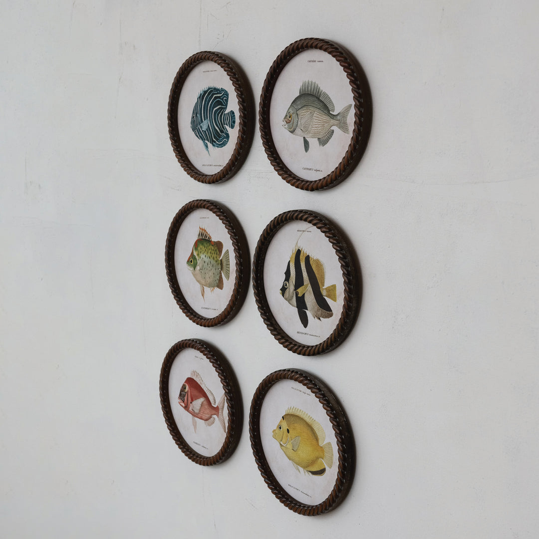 Cuadro Oval Pez, 6 estilos