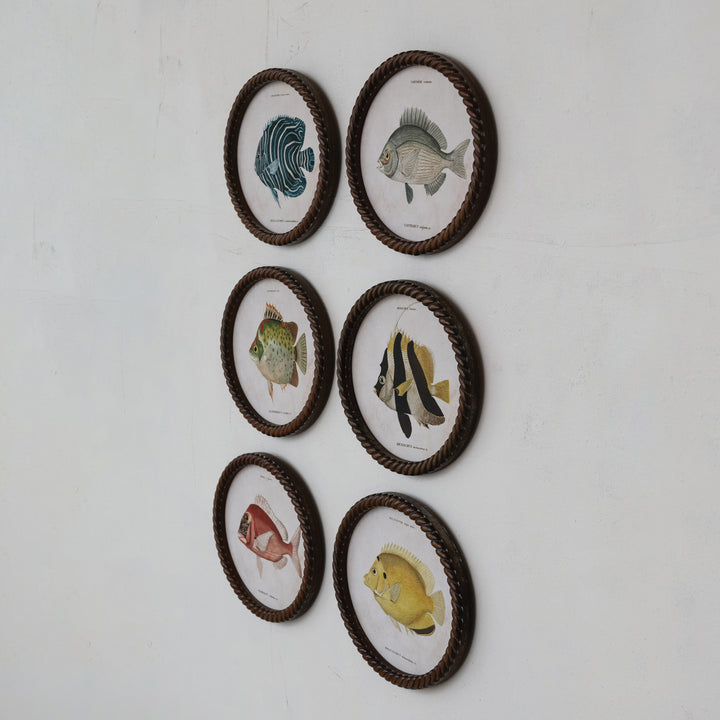 Cuadro Oval Pez, 6 estilos