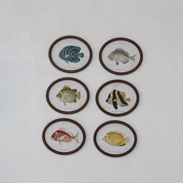 Cuadro Oval Pez, 6 estilos