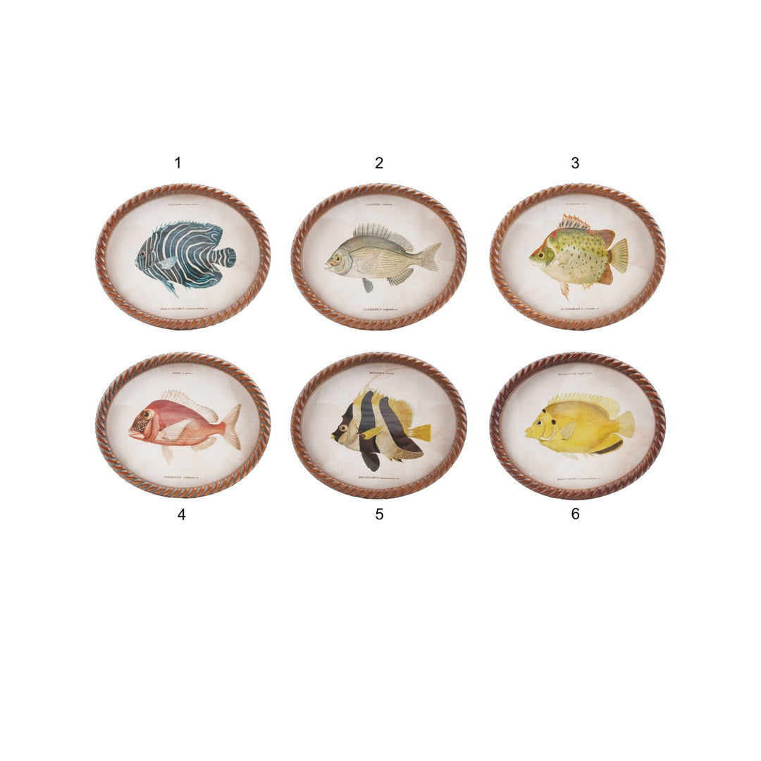 Cuadro Oval Pez, 6 estilos