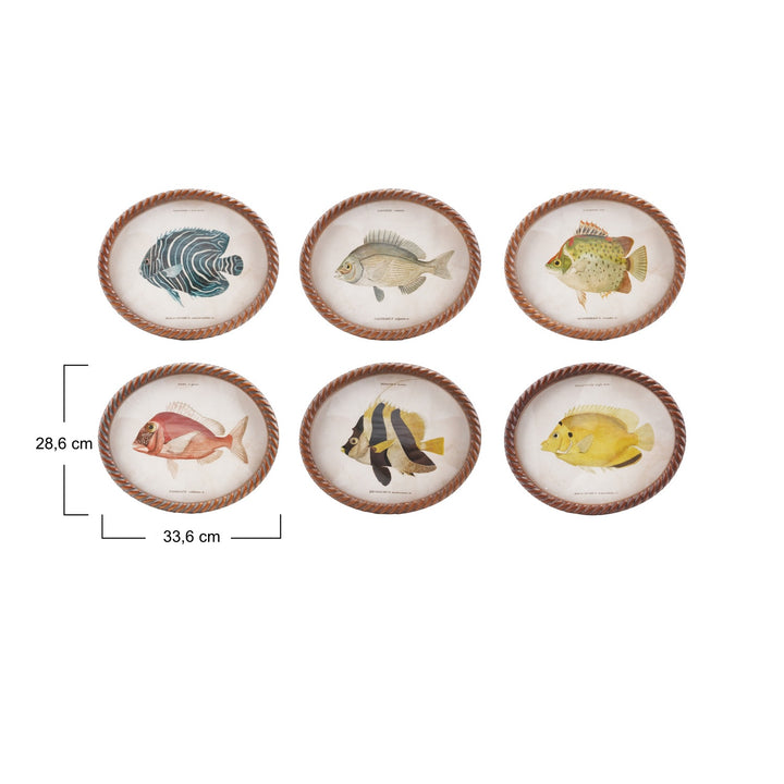 Cuadro Oval Pez, 6 estilos