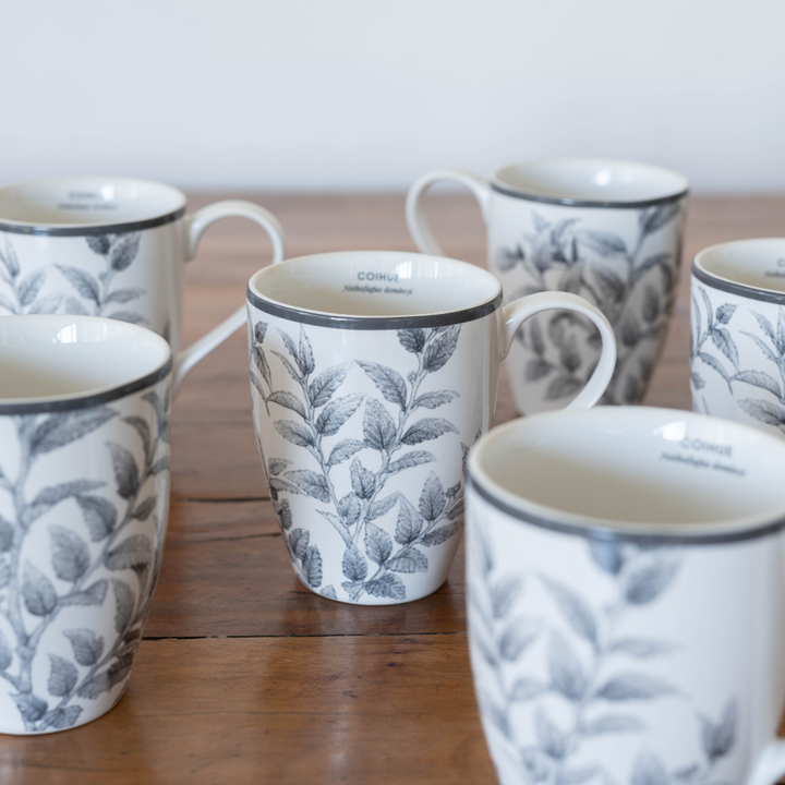 Set 6 Mugs de Porcelana Coihue - Klapp