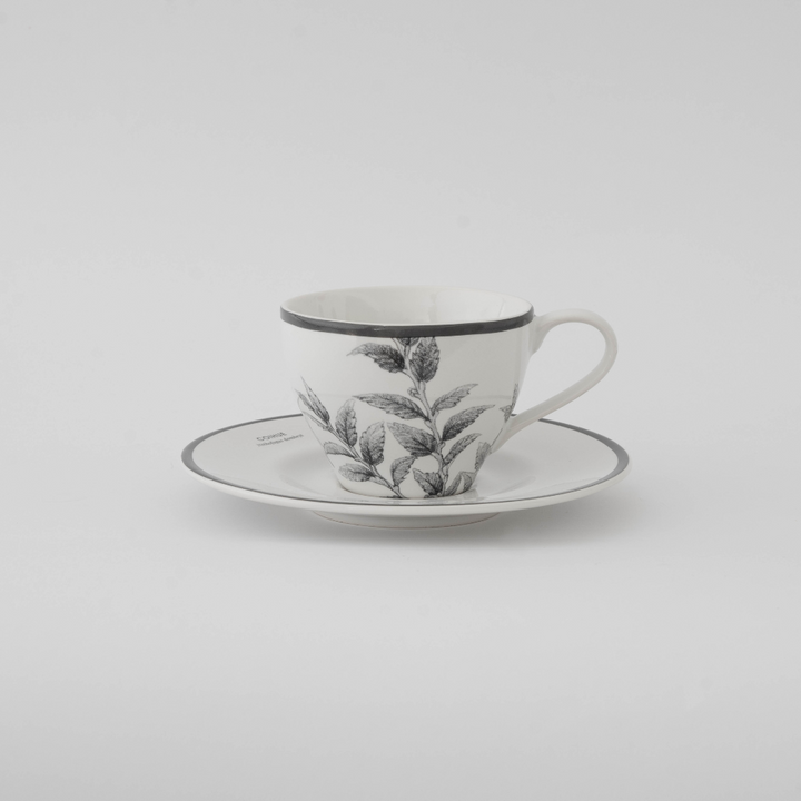 Set 6 Tazas de Porcelana Coihue - Klapp