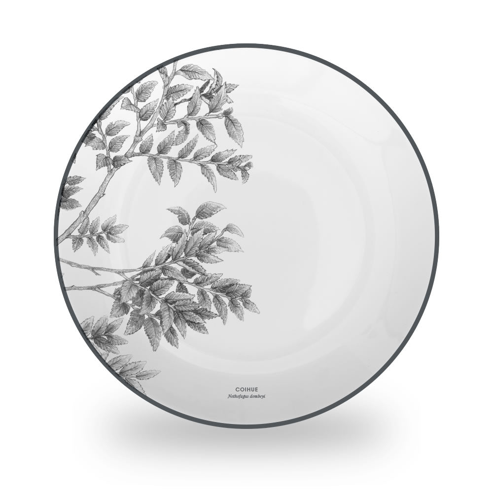Porcelana Coihue- Juego de Vajilla 24 piezas by Garuga - Klapp