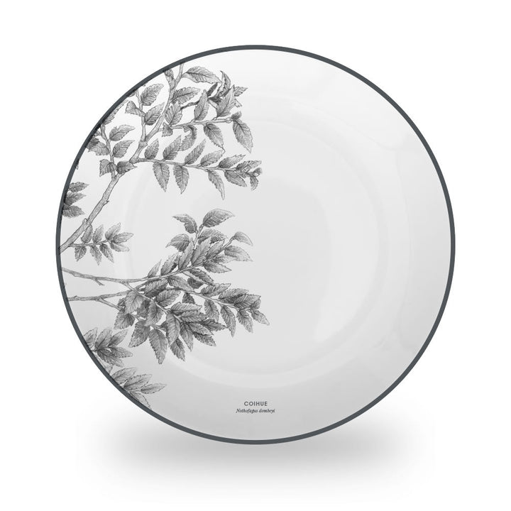 Porcelana Coihue- Juego de Vajilla 24 piezas by Garuga - Klapp