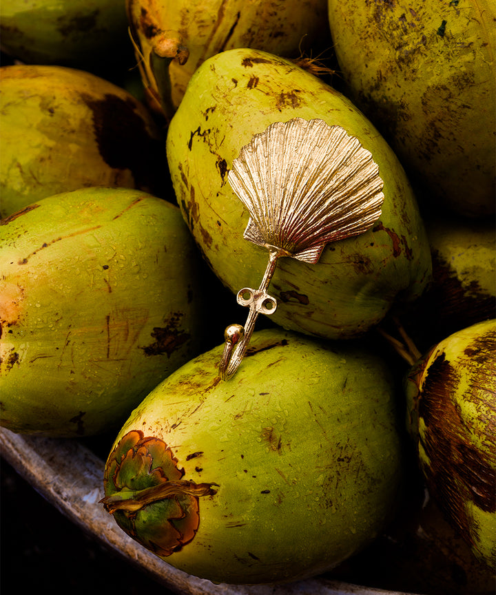 Percha Concha Marina