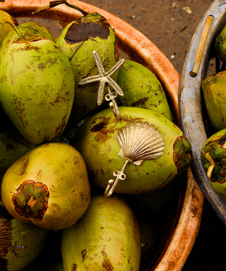 Percha Estrella de Mar