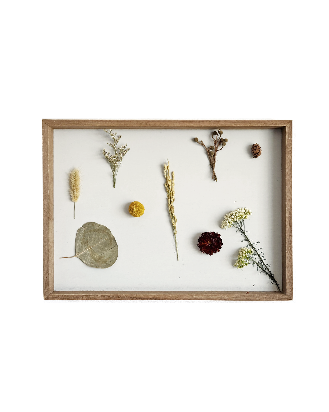 Cuadro Naturaleza IV