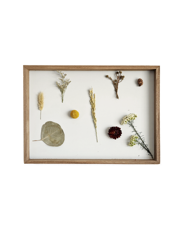 Cuadro Naturaleza IV