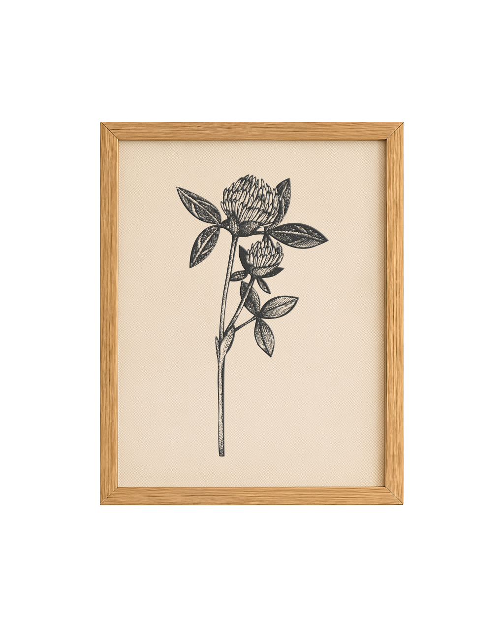 Cuadro Diseño Botánico - 35 x 25 cm