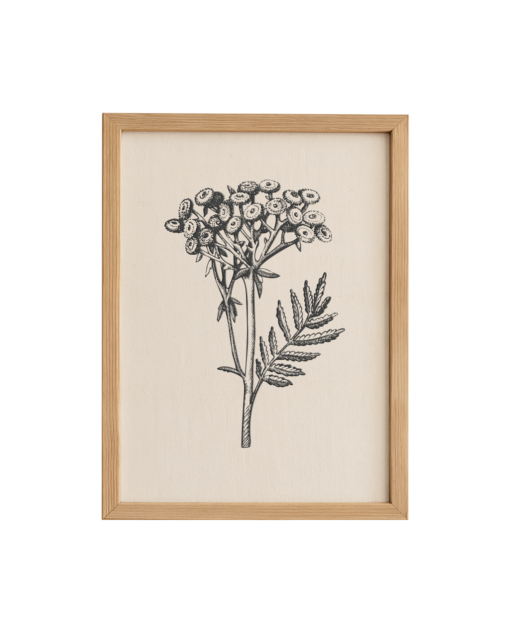Cuadro Diseño Botánico - 40 x 30 cm