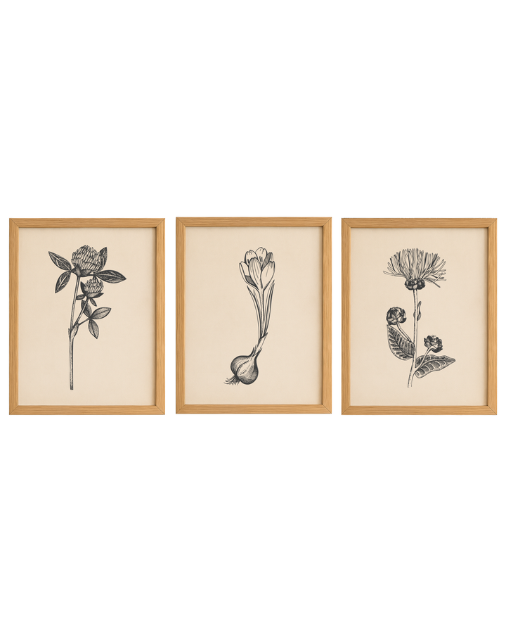 Cuadro Diseño Botánico - 35 x 25 cm