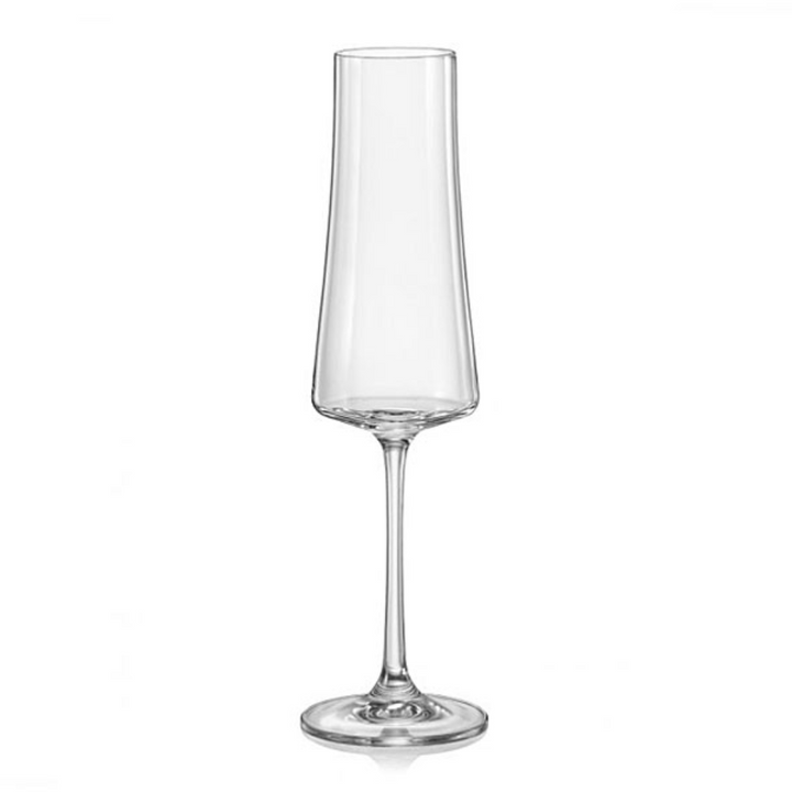 Set 6 Copas de Champagne Xtra