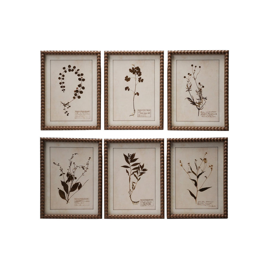 Decoración de pared de vidrio enmarcada con estampado botánico, 6 estilos