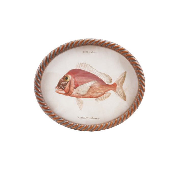 Cuadro Oval Pez, 6 estilos