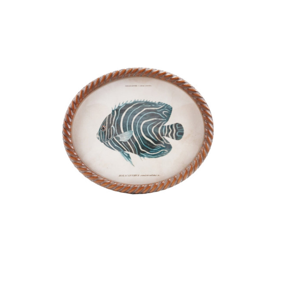 Cuadro Oval Pez, 6 estilos