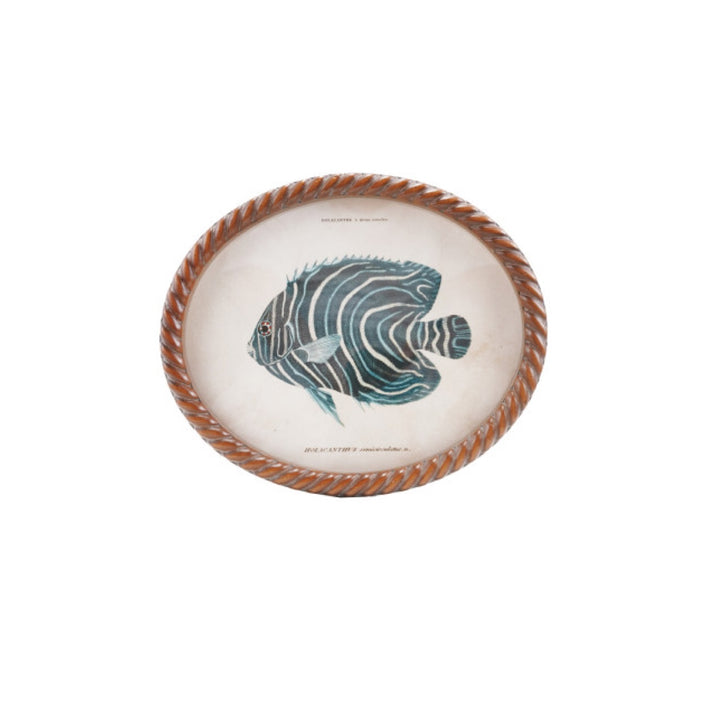 Cuadro Oval Pez, 6 estilos