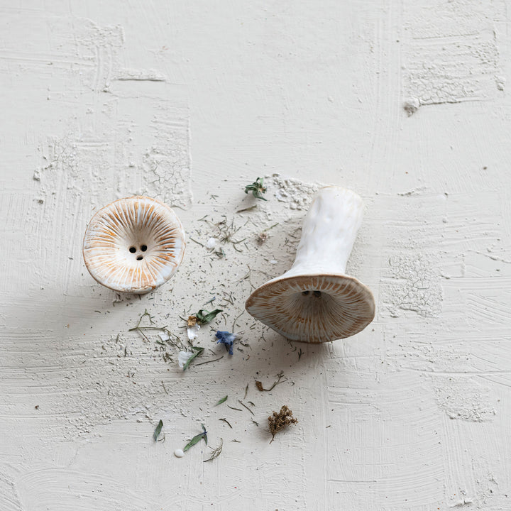 Adorno Fungi