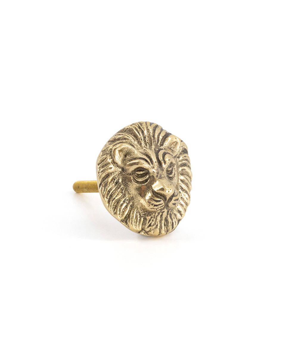 Tirador Bronce León