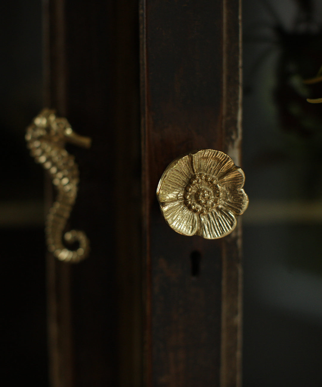 Tirador Bronce Flor Poppy